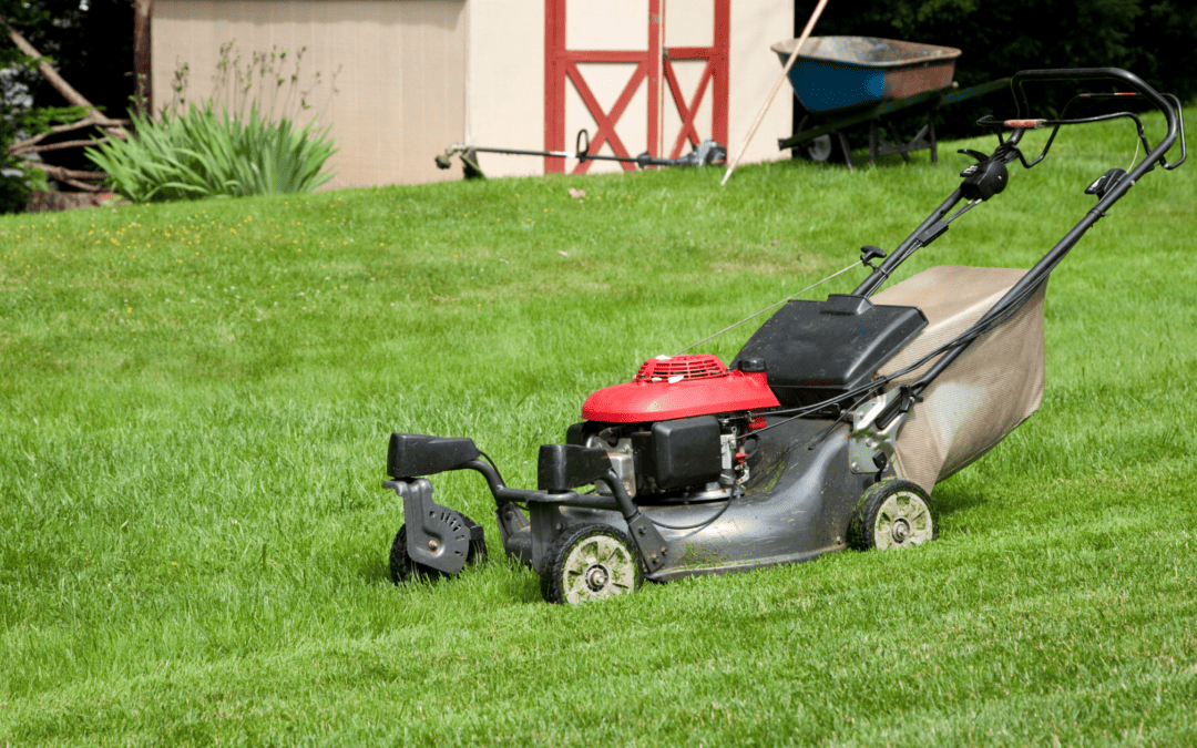 Everything You Need to Know About Lawn Mower Sheds