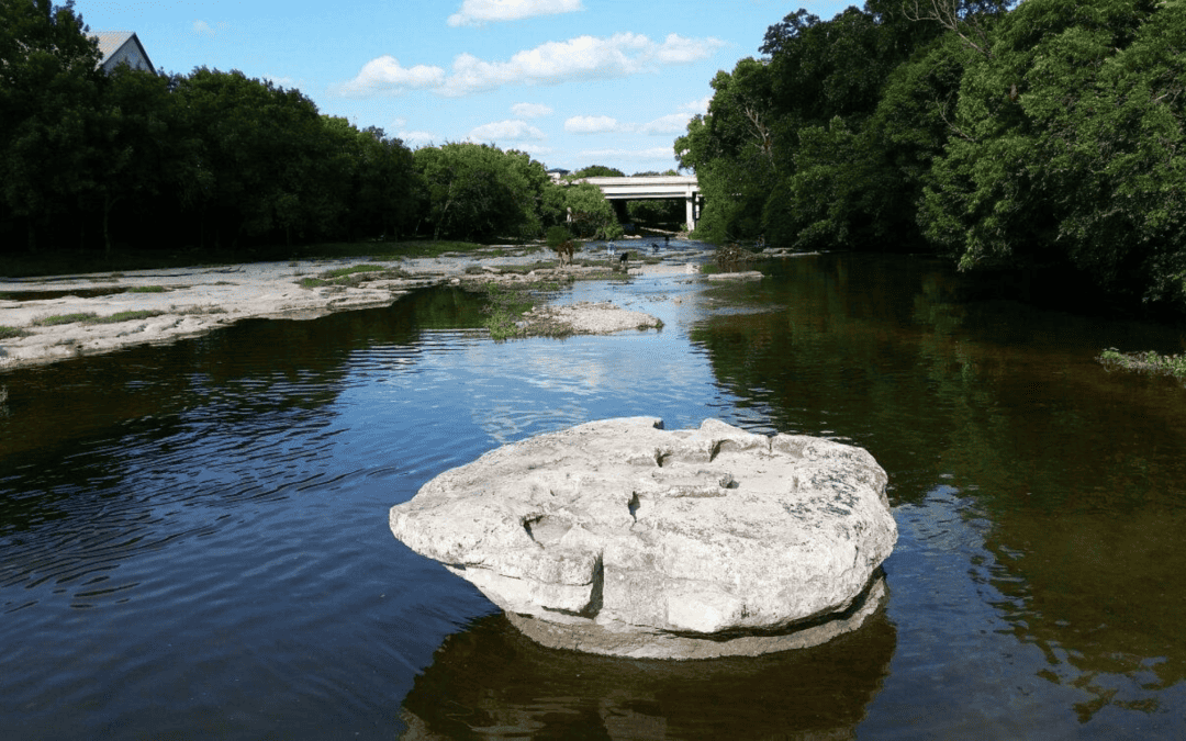 A Guide to Memorial Park in Round Rock, Texas