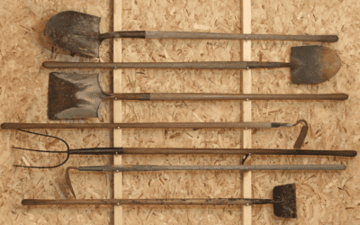 The Organized Gardener: Clever Storage Solutions Inside Your Garden Shed