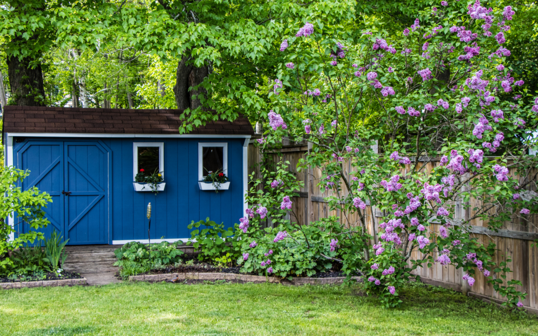 From Storage to Serenity: A Guide to She-Shed Meditation Spaces