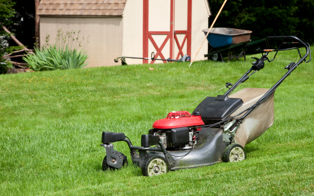 Choosing the Right Shed Size for Your Lawn Mower: A Buyer’s Guide