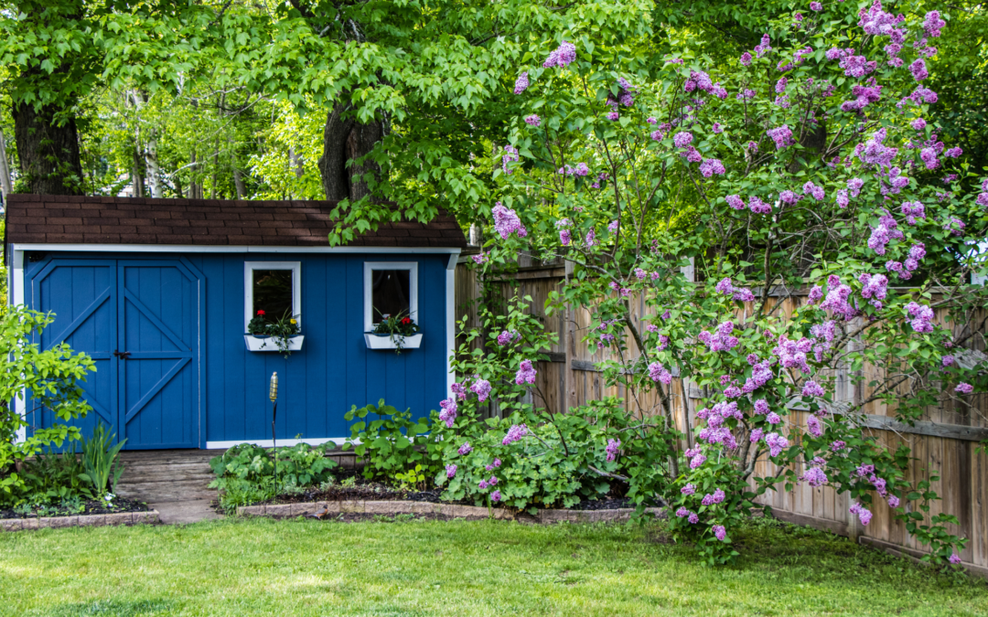 She-Shed Meditation Space