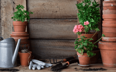 Enhancing Your Garden: Using Storage Sheds for Potting and Planting