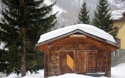 The Ultimate Guide to Cabin Sheds