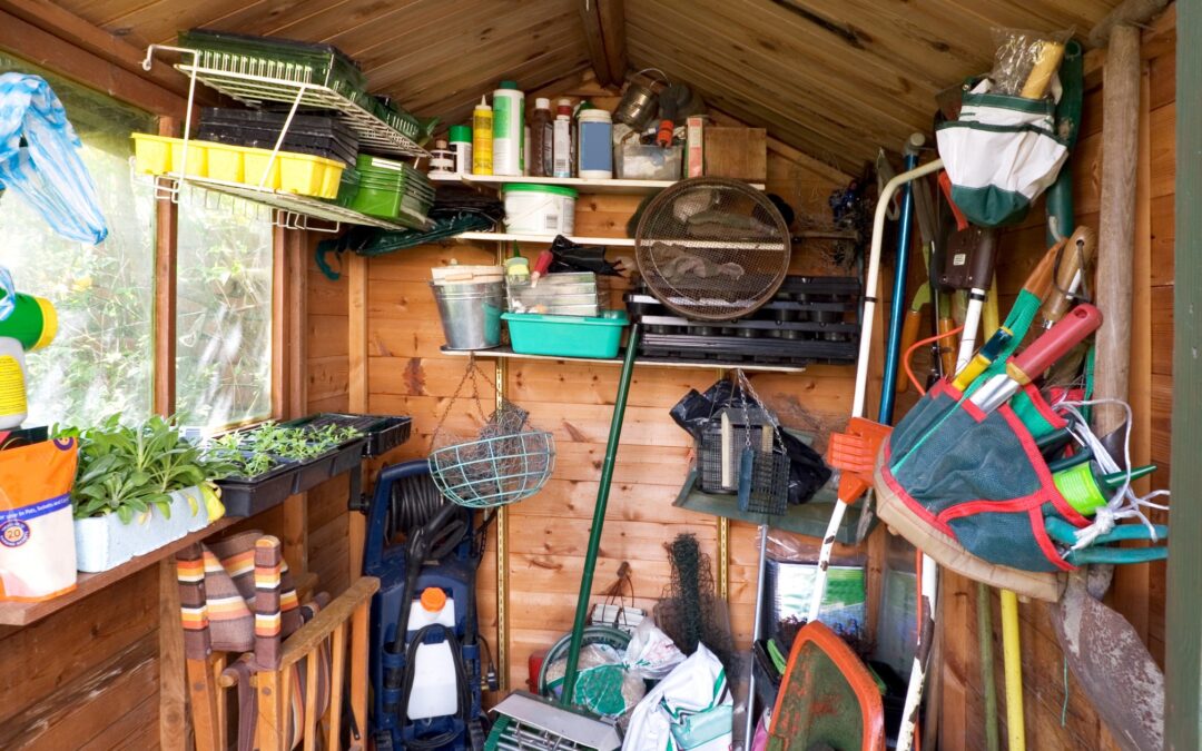 Turning Sheds into Sanctuaries Discover Creative Ways to Repurpose Your Storage Shed