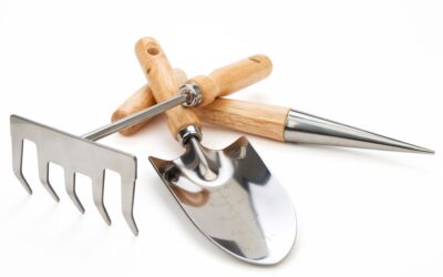Creative Ways to Use Your Tool Shed Beyond Storage