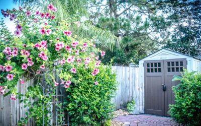 Why Austin Homeowners are Opting for Multi-Use Storage Sheds