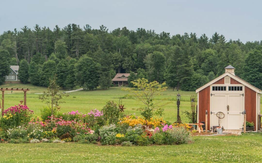 Designing the Dream Garden Shed for Central Texas Green Thumbs