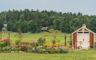 Designing the Dream Garden Shed for Central Texas Green Thumbs