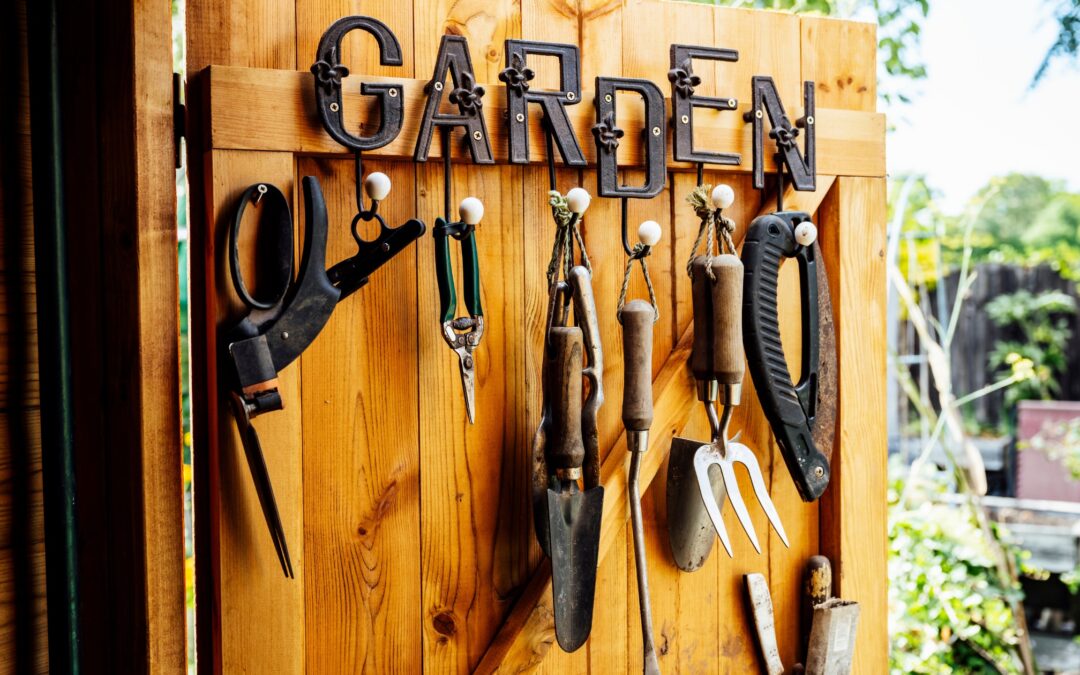 Garden Shed Design Ideas for Austin’s Active Gardeners