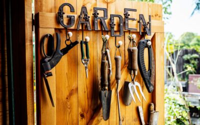 Garden Shed Design Ideas for Austin’s Active Gardeners