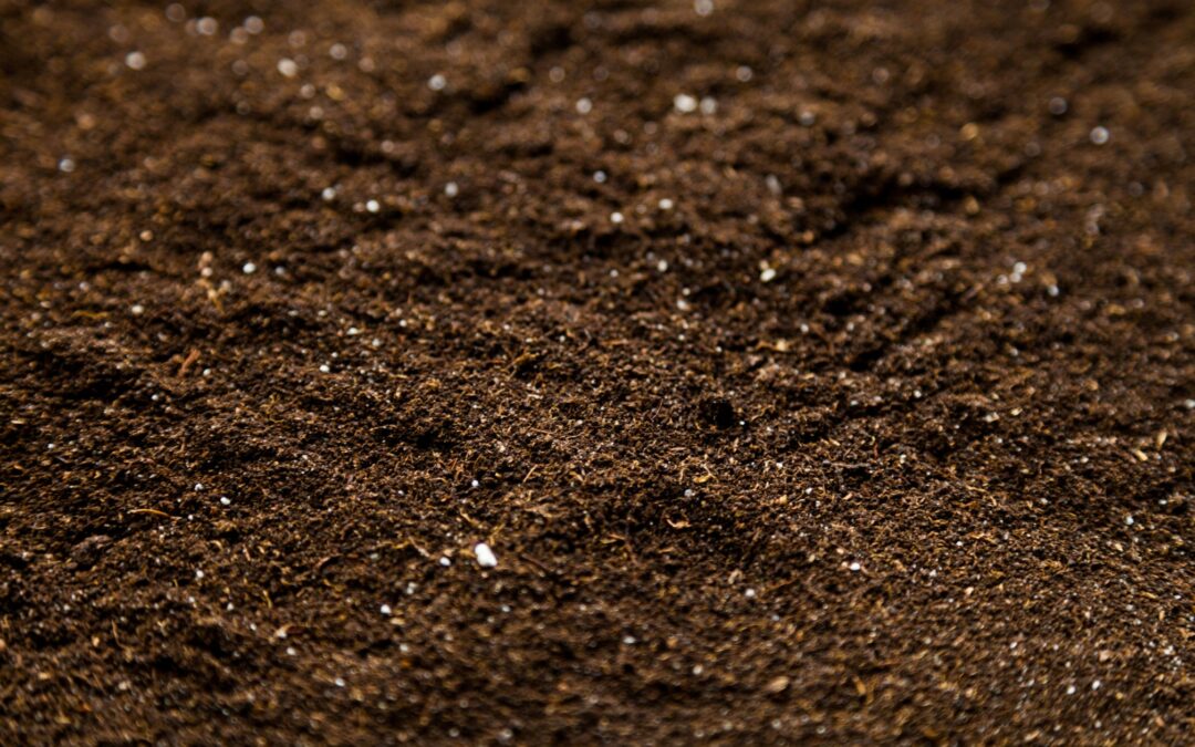 How to Choose the Right Shed Foundation for Central Texas Soil